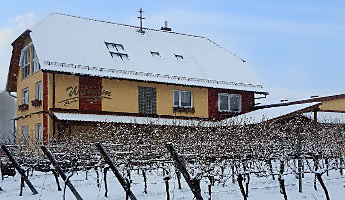 Das Weingut umringt von weißen Weinbergen